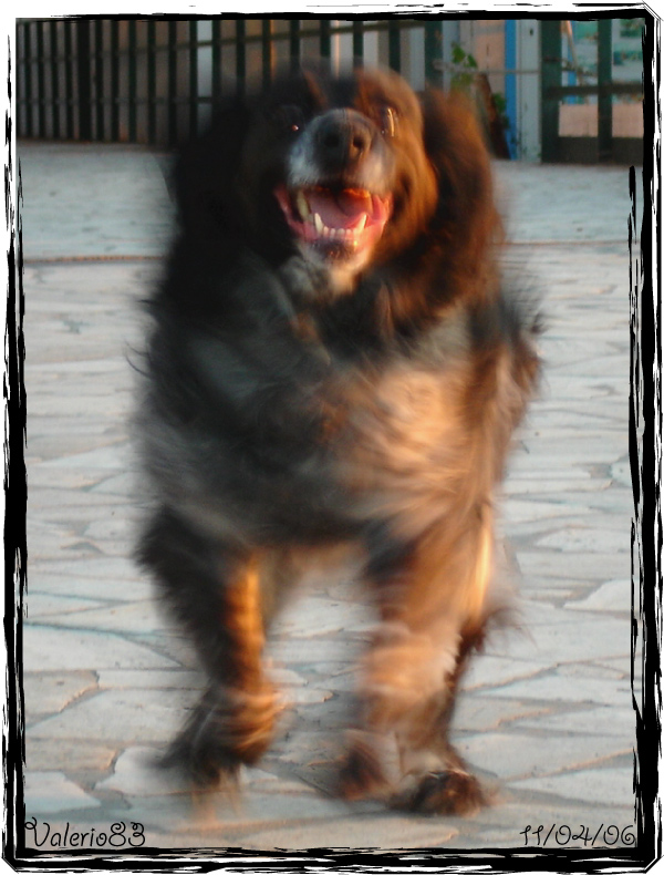 sally, cori cori cori