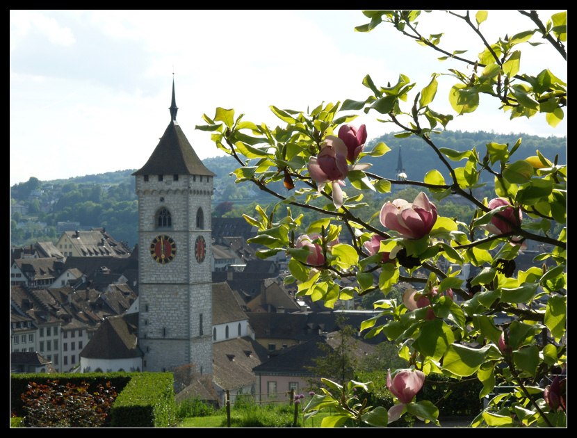 Schaffhausen dal Munot