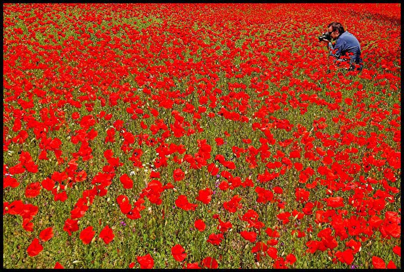 il paradiso dei fotografi