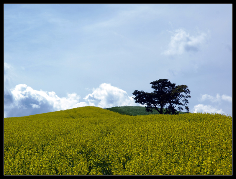 collina sulla frontiera 2