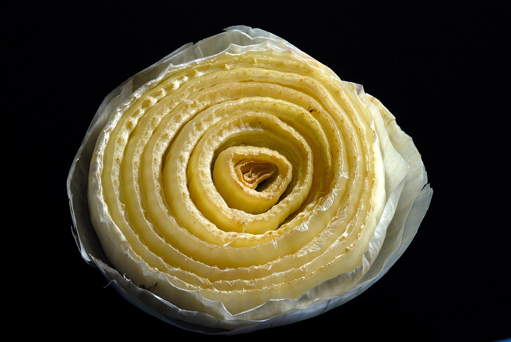 fiori...dal frigorifero