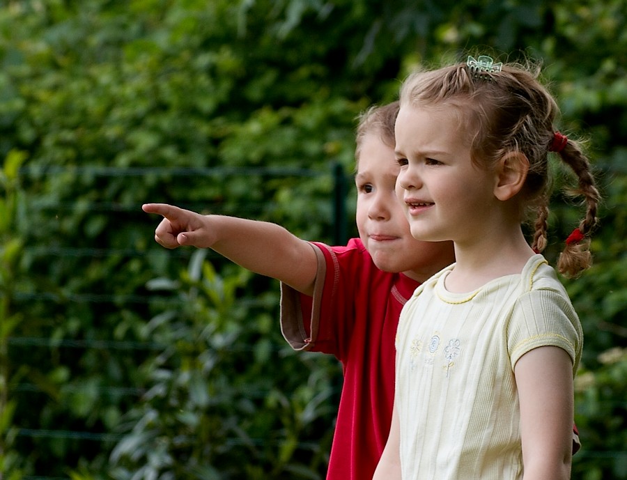 Cuccioli crescono...