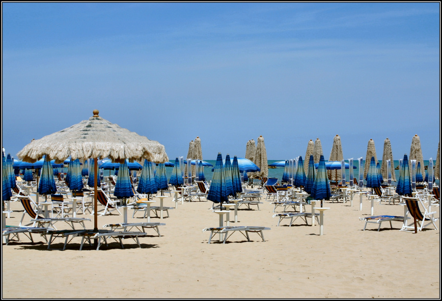 Fratello Koda dove sei?