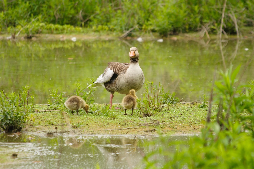 Dai andiamo che si fa tardi ...