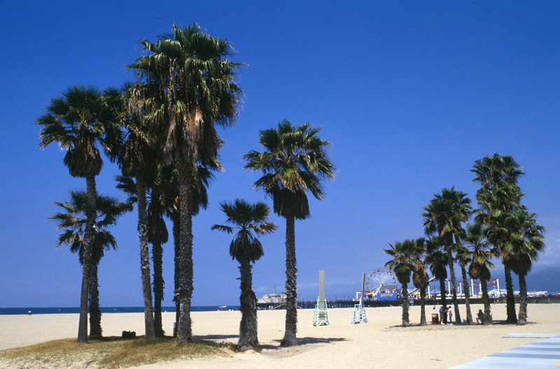 L.A. - Santa Monica Beach