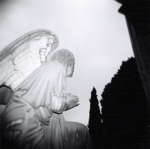 [holga] staglieno 3