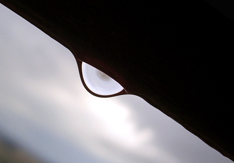 FIFTY / FIFTY (50/50)