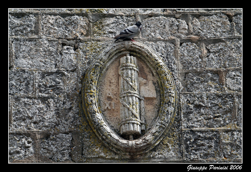 La colomba fascista!