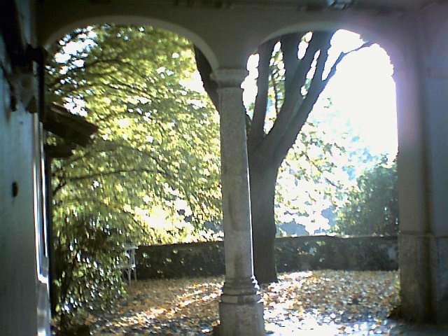 Architettura naturale