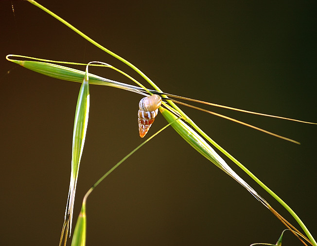 il mio....."Fragile"...