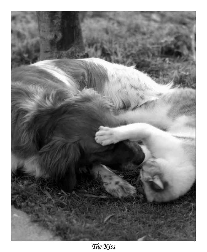 The Kiss