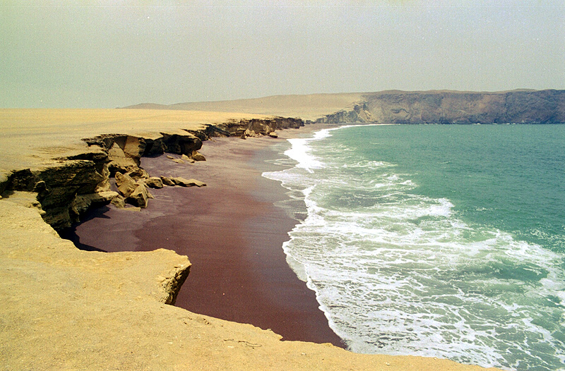 Penisola di Paracas - Peru