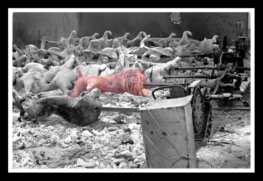 ...gira su ceppi accesi, lo spiedo scoppiettando...