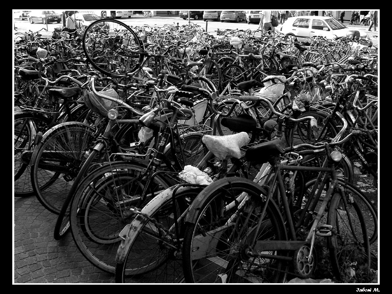 Biciclette a Venezia