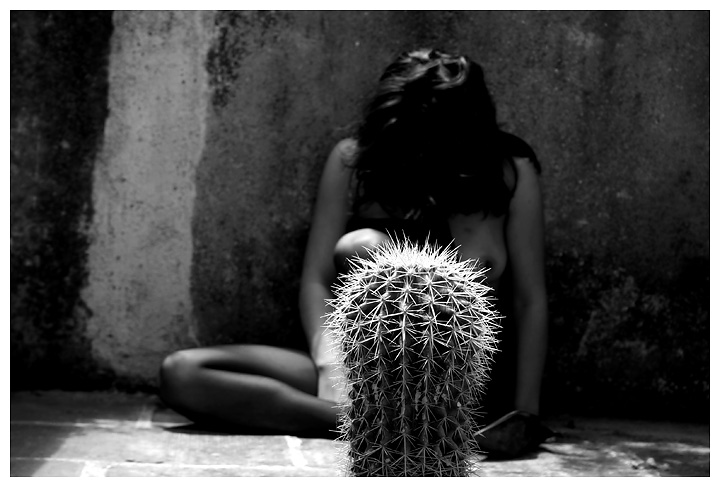 ...il potere del cactus (prima)