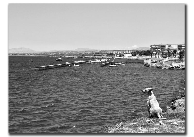 Chiss� a che........