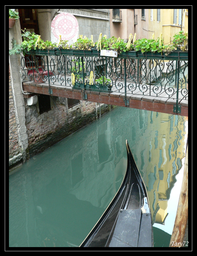 Canale di Venezia