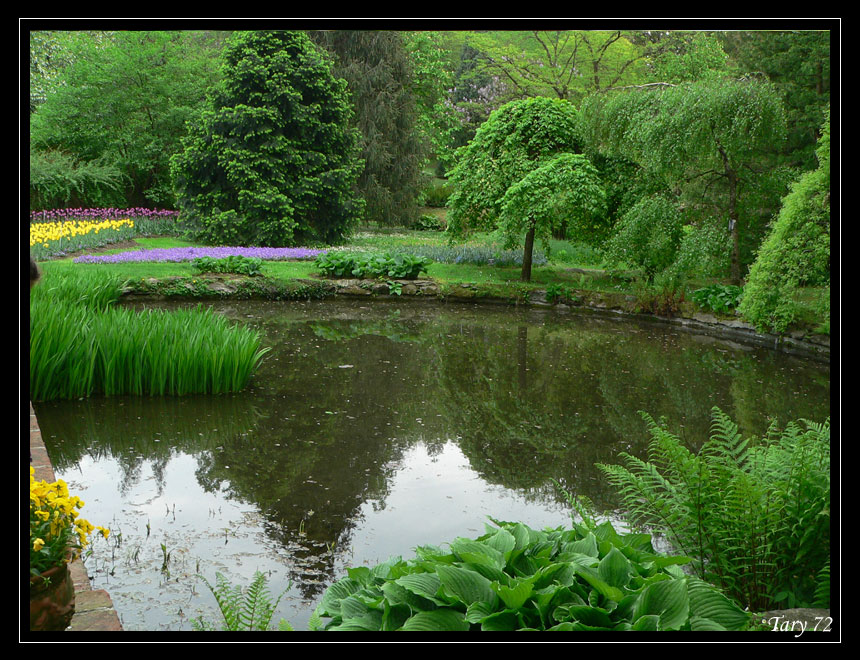 Laghetto di Villa Taranto