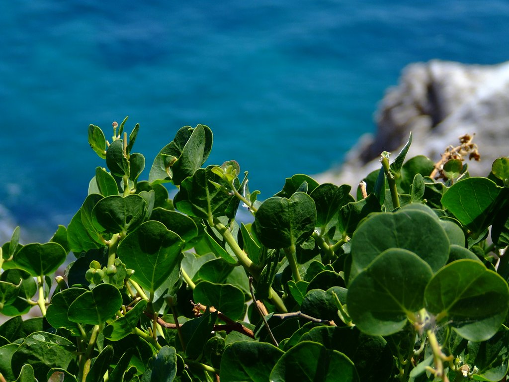 I colori della mia terra