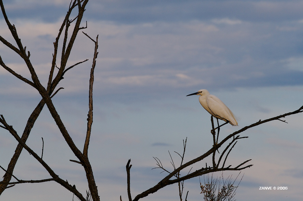 Laguna del mort (VE) III