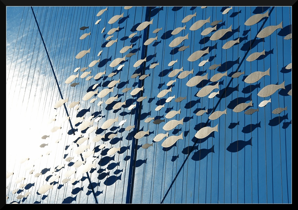 Comportamento collettivo auto-organizzato