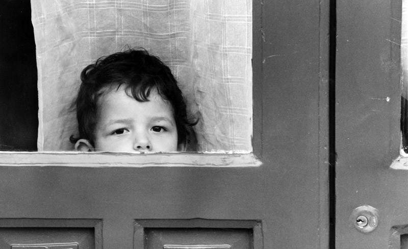 La curiosit� dei bimbi