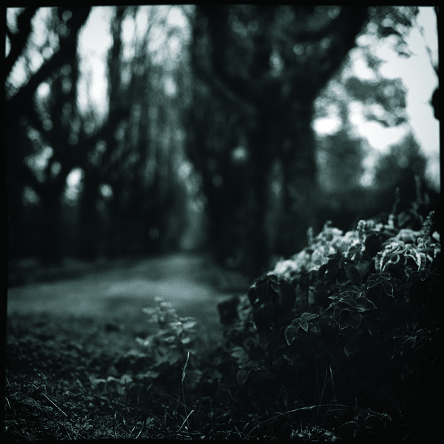 San ginesio - Il colle