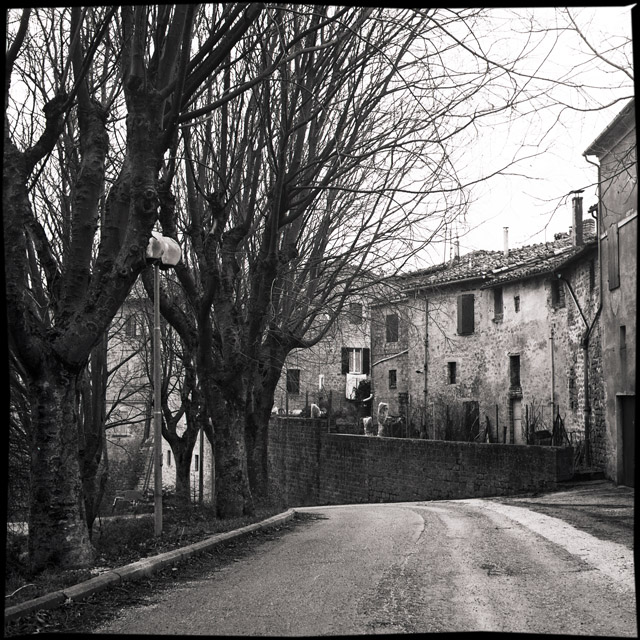 San Ginesio - Il Colle