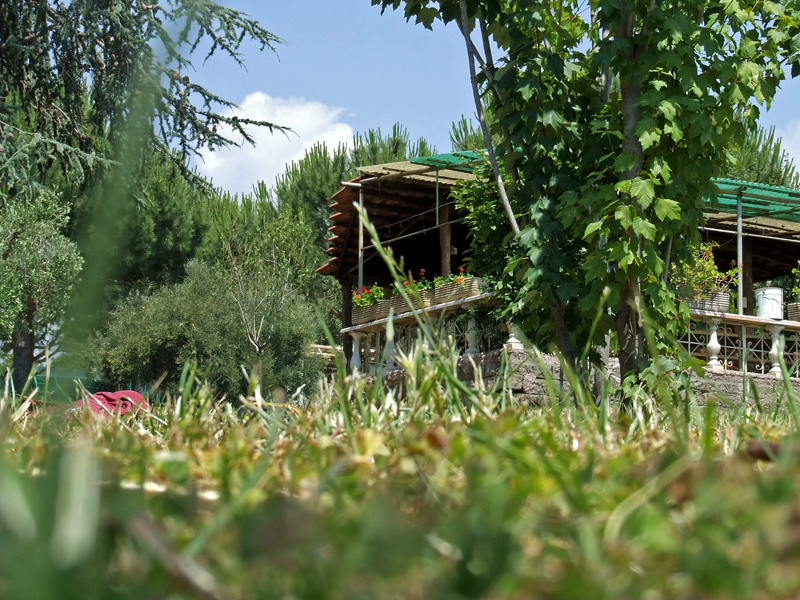 Cecchina, casetta fra i prati