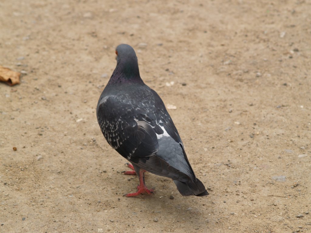 a spasso un sabato mattina a Palermo