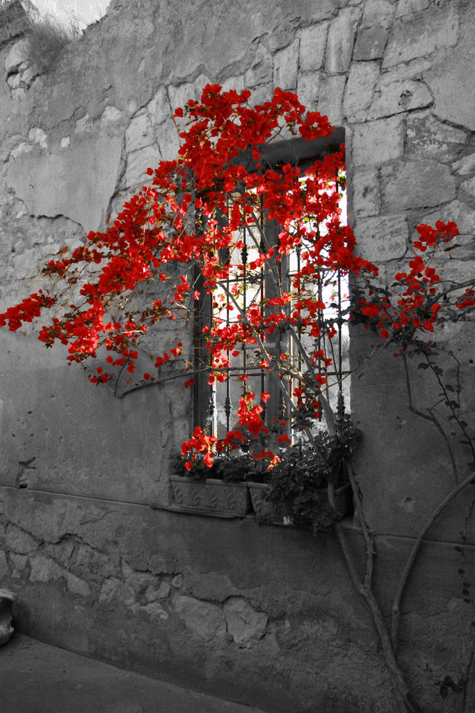 Montecorbo - Sorrento