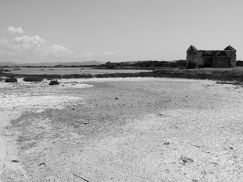 Stintino (SS): Le Saline/1