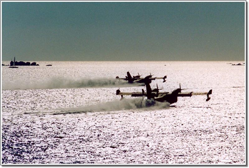 Canader in controluce sul mare d'argento.