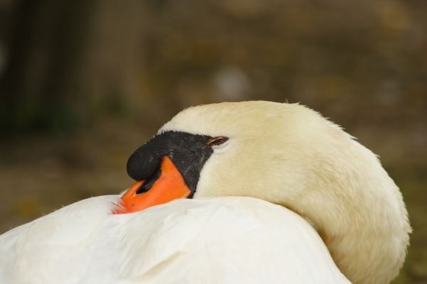 e ora cosa vuole questo?