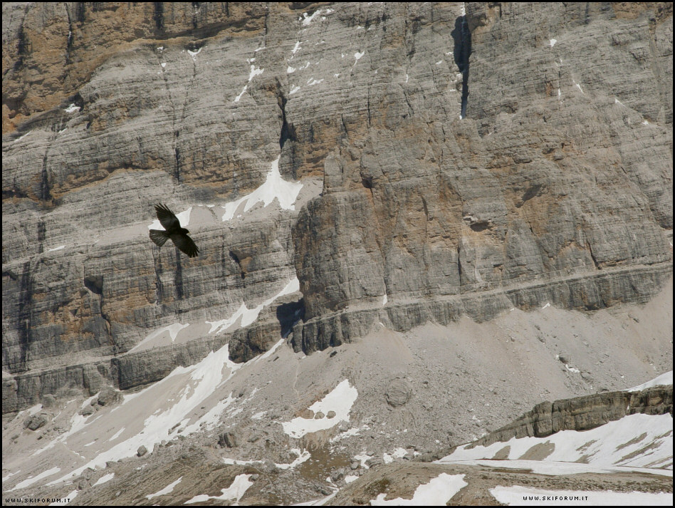 Volo libero, divinamente