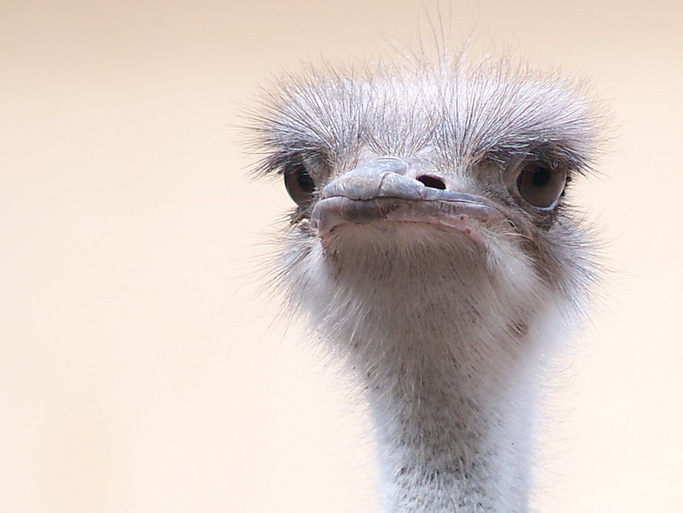 Ehi tu! Guarda che prima o poi ti becco!