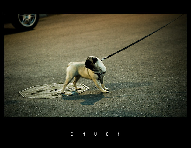 Chuck�