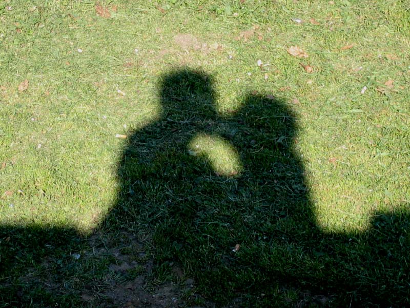 Ombra... romantica...