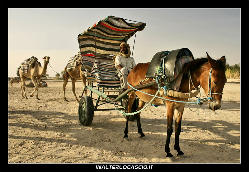 Il calesse del deserto