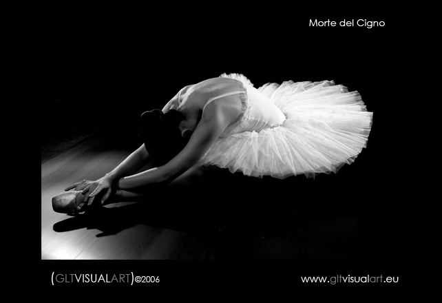 La morte del Cigno