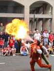 Il signore del fuoco Il signore del fuoco