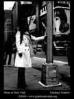 Alone in New York Alone in New York