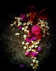 Am I flower? Am I flower?