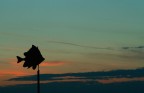 Pesca Al Tramonto Pesca Al Tramonto