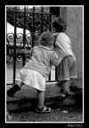 Guarda guarda... Guarda guarda...