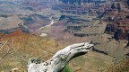 Gran Canyon National Park-2