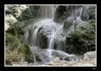 acqua acqua