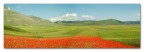 Castelluccio in panoramica