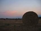 Stasera in campagna Stasera in campagna
