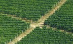 Langhe Langhe